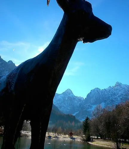 Jelka Apartmán Kranjska Gora